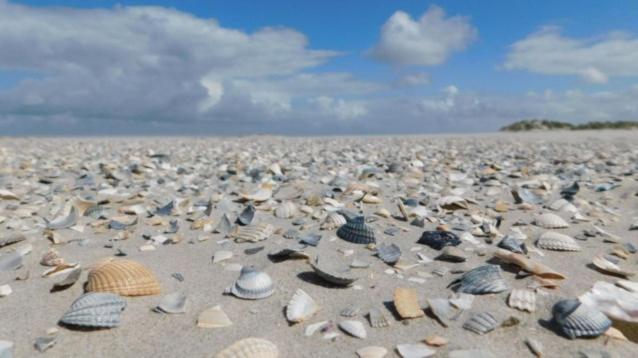 Rust Aan De Kust Villa Middelkerke Ngoại thất bức ảnh